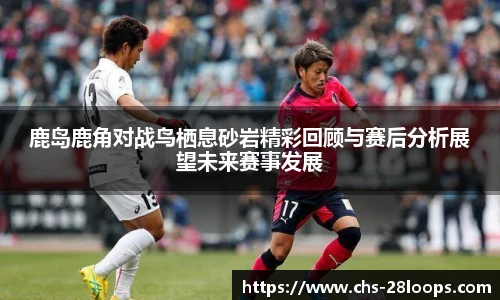28圈电脑版