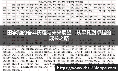 28圈平台