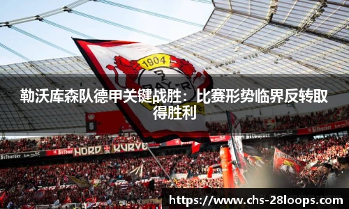 28圈电脑版