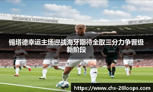 28圈平台